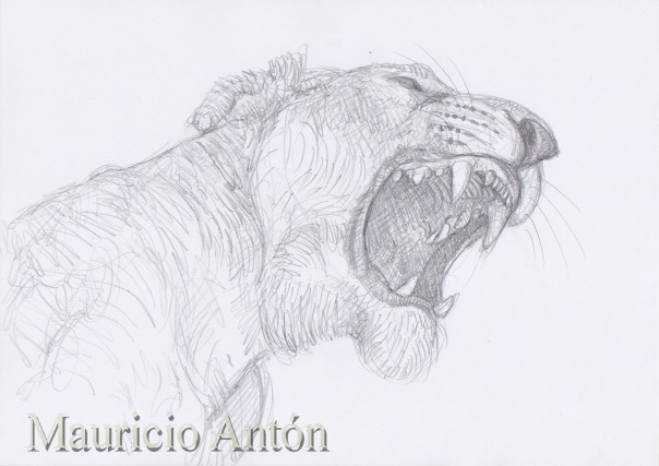 furious lioness 2